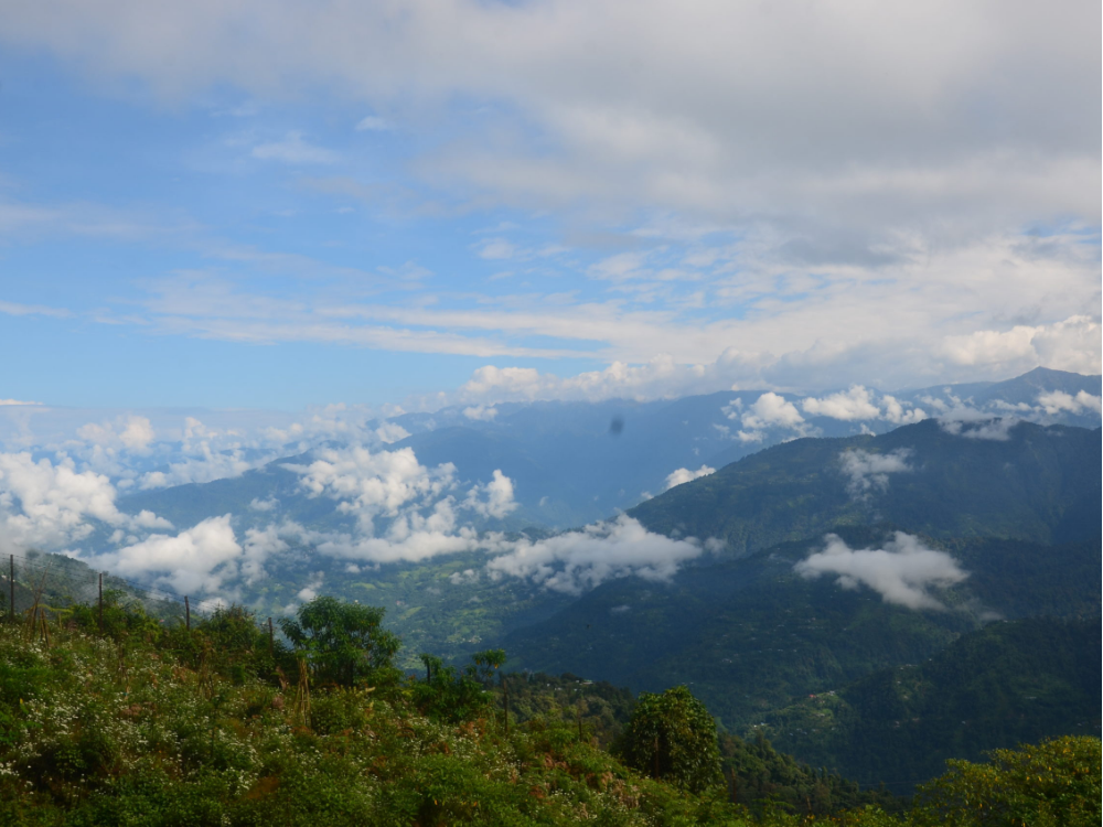 Offbeat North Bengal 